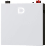 Акумуляторна батарея Dyness DL5.0C Pro 51.2V 100Ah 5.12kWh LiFePo4 (DL5.0C Pro)