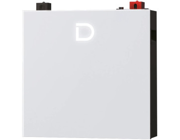 Аккумуляторная батарея Dyness DL5.0C Pro 51.2V 100Ah 5.12kWh LiFePo4 (DL5.0C Pro)