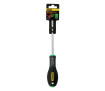 Викрутка FatMax з довжиною жала 125 мм під шліц Torx TT40 STANLEY 0-65-399 - Фото 1