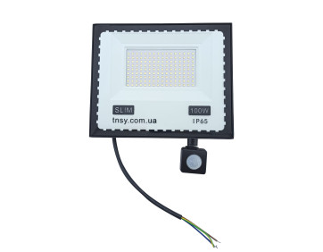 Прожектор LED 100W ULTRA Slim 220V 9000Lm 6500K IP65 з датчиком руху TNSy