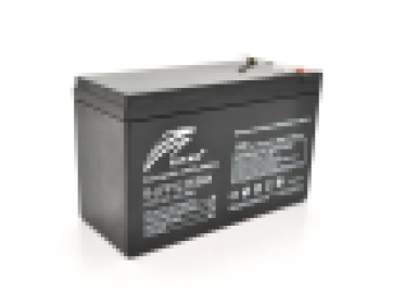 Акумуляторна батарея Ritar LiFePO4 12,8V 9Ah (115,2Wh) ( 150 x 65 x 95 (100) Q10