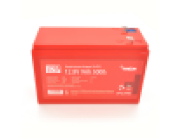 Літій-залізо-фосфатний акумулятор Merlion LiFePO4 12.8V 9AH (4S3P / BMS-10A), (151x65x100), 1,34kg f