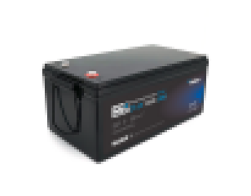 Літій-залізо-фосфатний акумулятор Merlion LiFePO4 25.6V 100AH ​​(8S2P / BMS-100A), (522x238x225), до